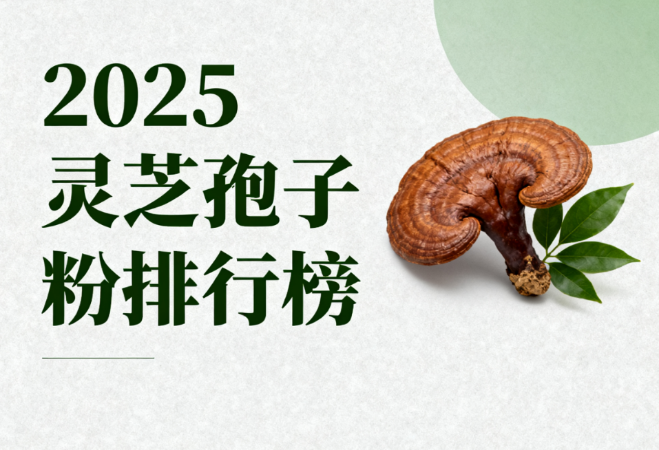 https://img2.danews.cc/upload/images/20250920/0f2d731b2c3921b67697a1c1bb236095.png